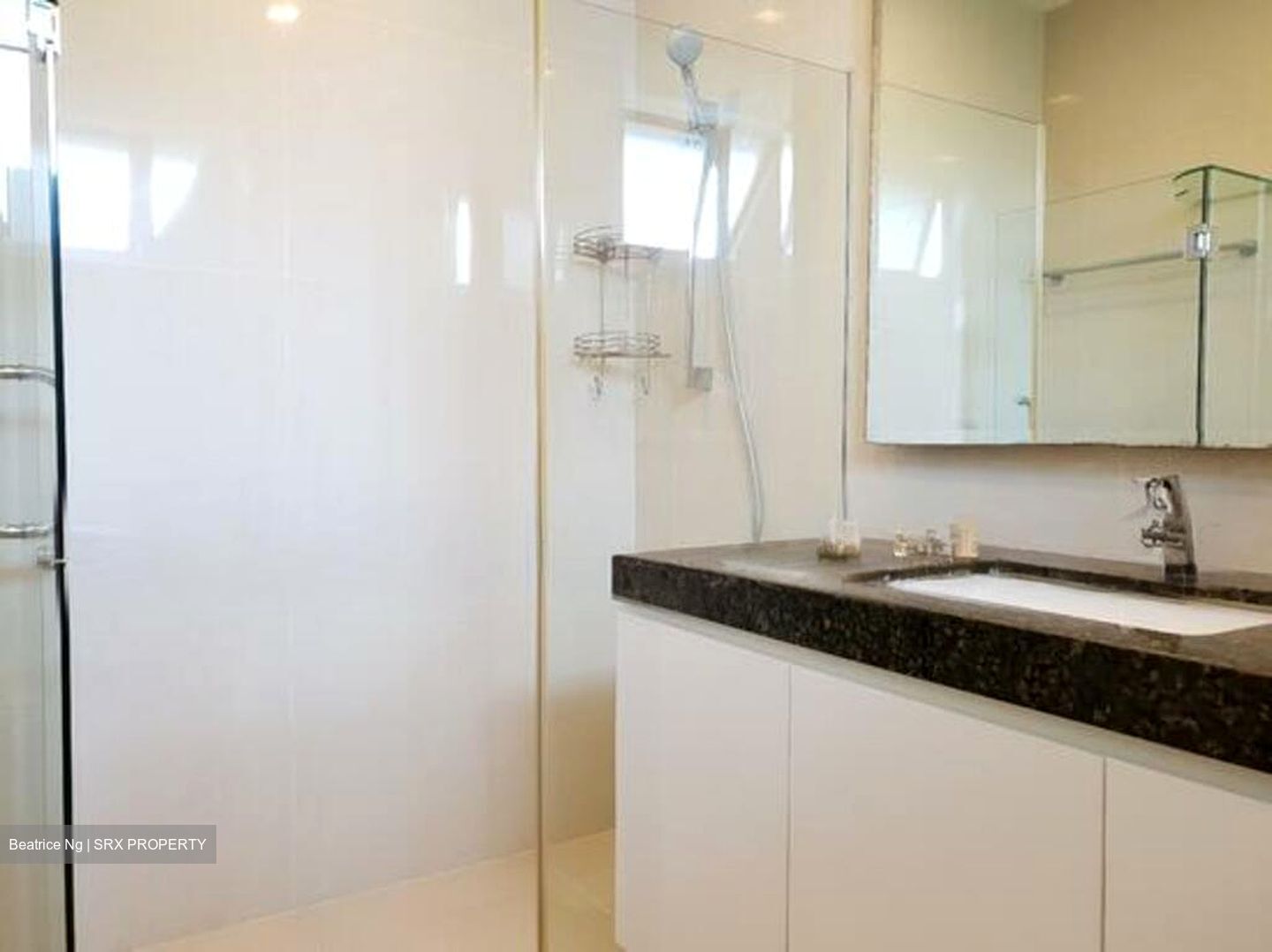 Mount Rosie Garden (D11), Condominium #519514951